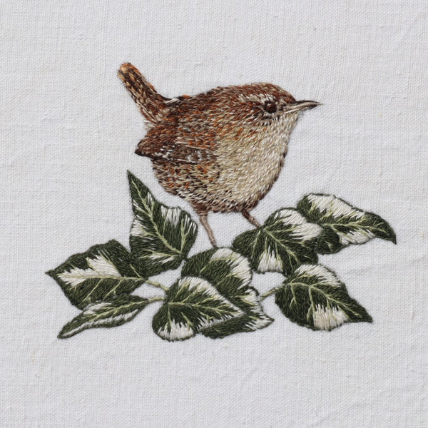 Wren Amongst the Ivy