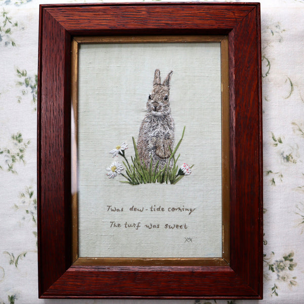 Young Rabbit in Spring