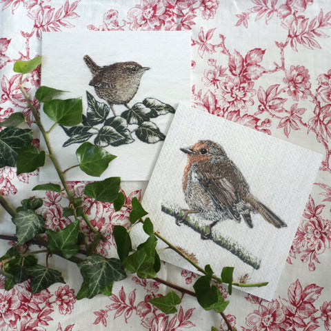 The Robin and The Wren  Pack of Six Christmas Cards