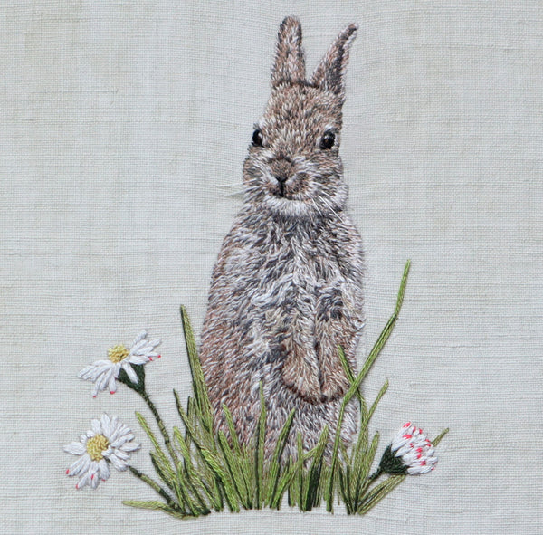 Young Rabbit in Spring