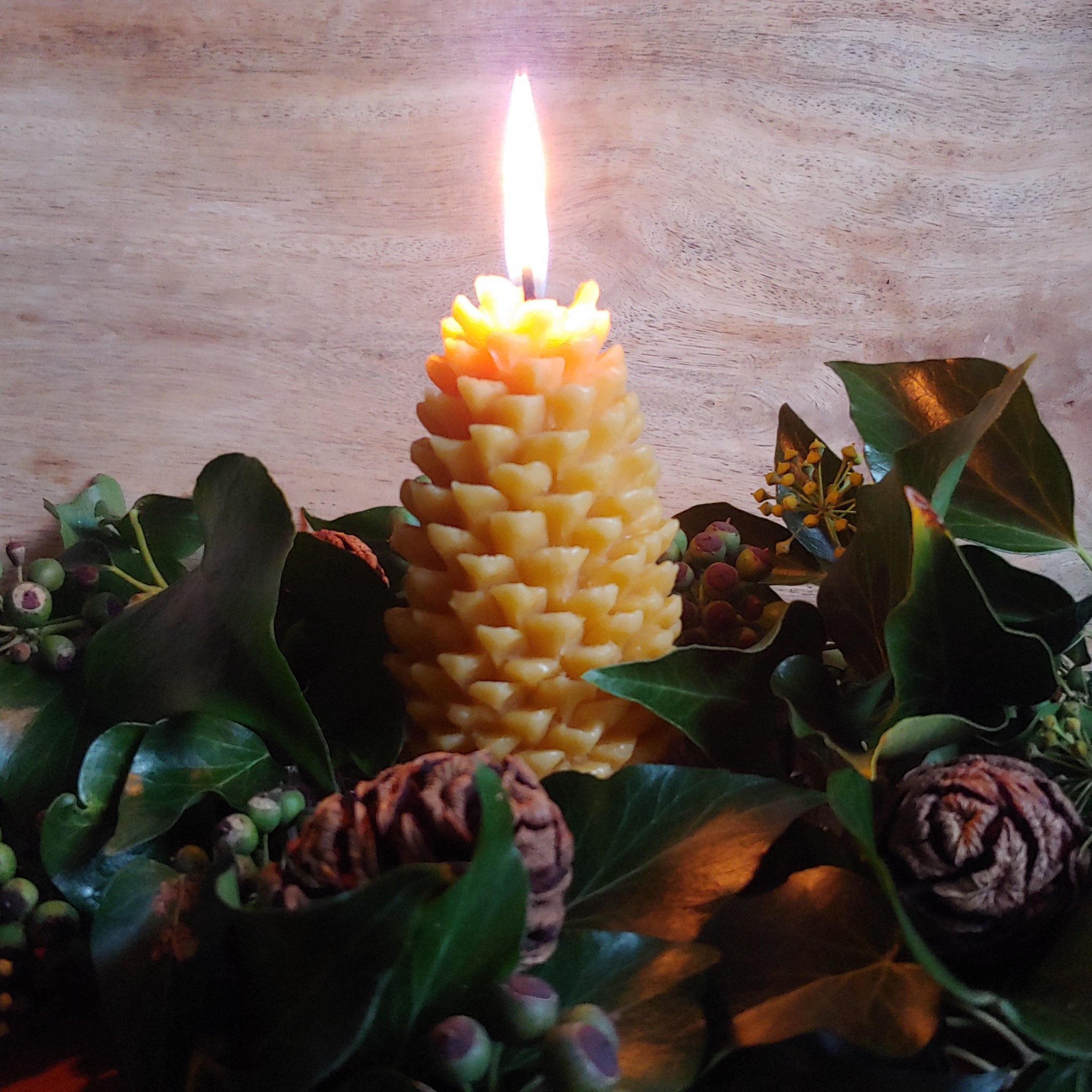 Pine Cone Beeswax Candle